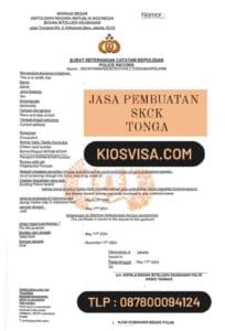 jasa-pembuatan-skck-tujuan-tonga